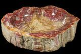 Wide Polished Petrified Wood Bowl - lbs #133616-3
